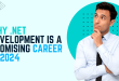 Why .NET Development is a Promising Career in 2024