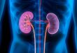 signs-of-kidney-disease-Treatment-with-natural-remedies