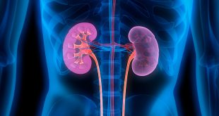 signs-of-kidney-disease-Treatment-with-natural-remedies