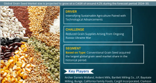 Grain Seed Market