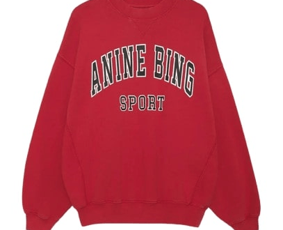 Anine Bing sweatshirt