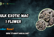 Bulk Exotic Mac 1 Flower