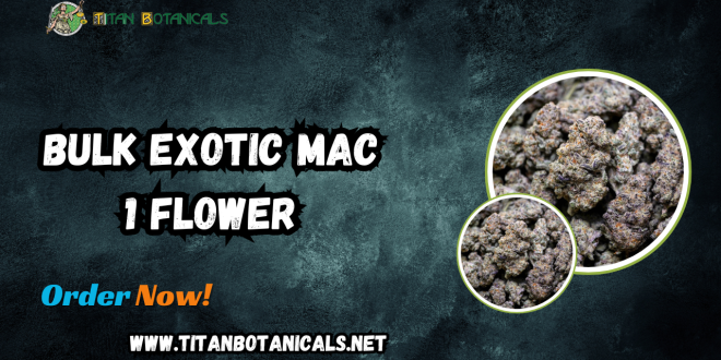 Bulk Exotic Mac 1 Flower