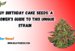 birthday cake seeds