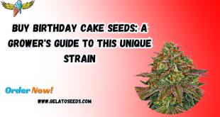 birthday cake seeds