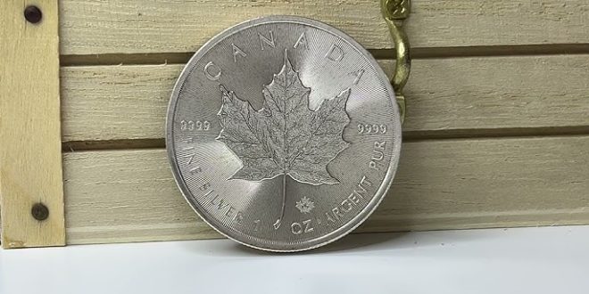 Canadian Silver Maple Leafs