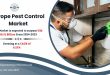 Europe Pest Control Market