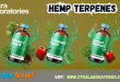 Hemp Terpenes