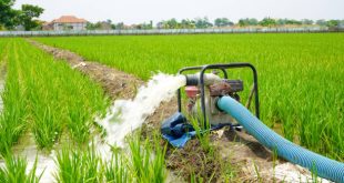 Mexico Irrigation Water Pumps Market