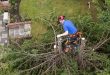 Middlesbrough Tree Surgeon