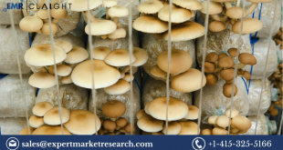 Mushroom Cultivation Market