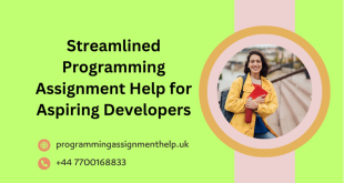 Programming Assignment Help