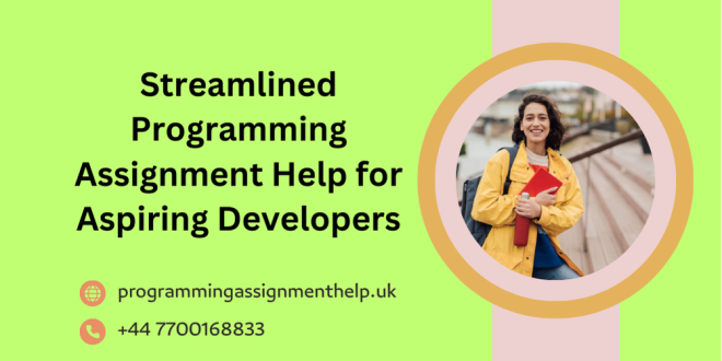 Programming Assignment Help