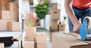 Moving Company in Clearwater