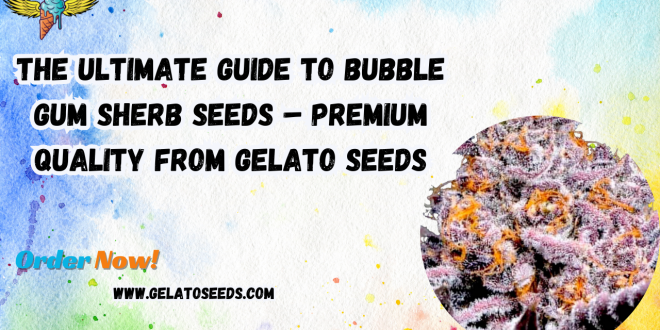 Bubble Gum Sherb seeds