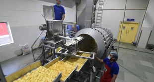 Chips Manufacturing in India