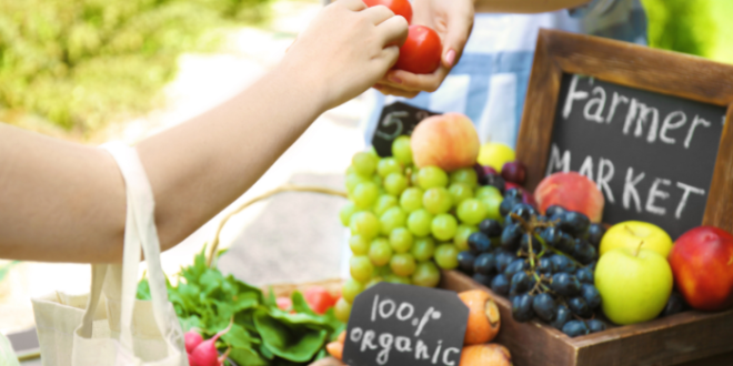 A Guide to Navigating Your Local Farmers Market Like a Pro