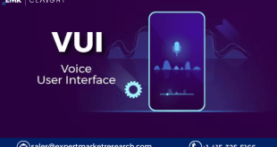 Voice User Interface Market