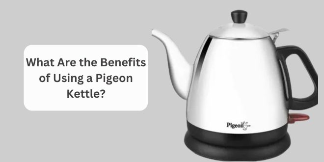 What Are the Benefits of Using a Pigeon Kettle