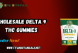 Wholesale Delta 9 THC Gummies