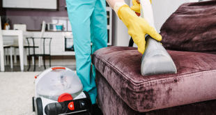 quality furniture cleaning in Renton WA