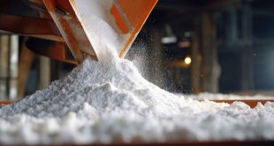 Salt Manufacturers