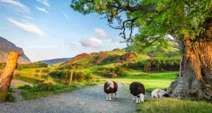 spring holidays in Wales