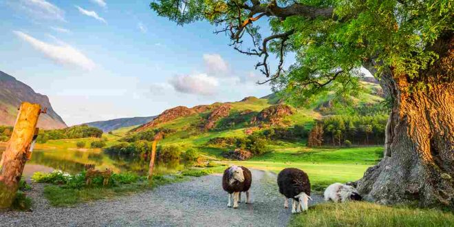 spring holidays in Wales