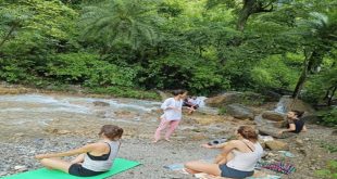 The Ultimate Guide to Choosing a Detox Retreat in Rishikesh